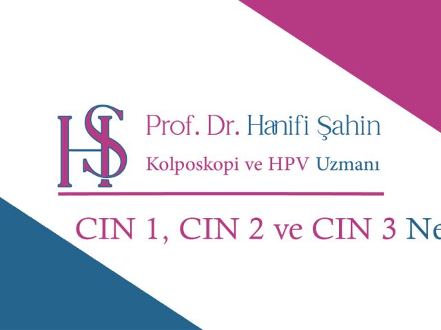 CIN 1, CIN 2 ve CIN 3 Nedir